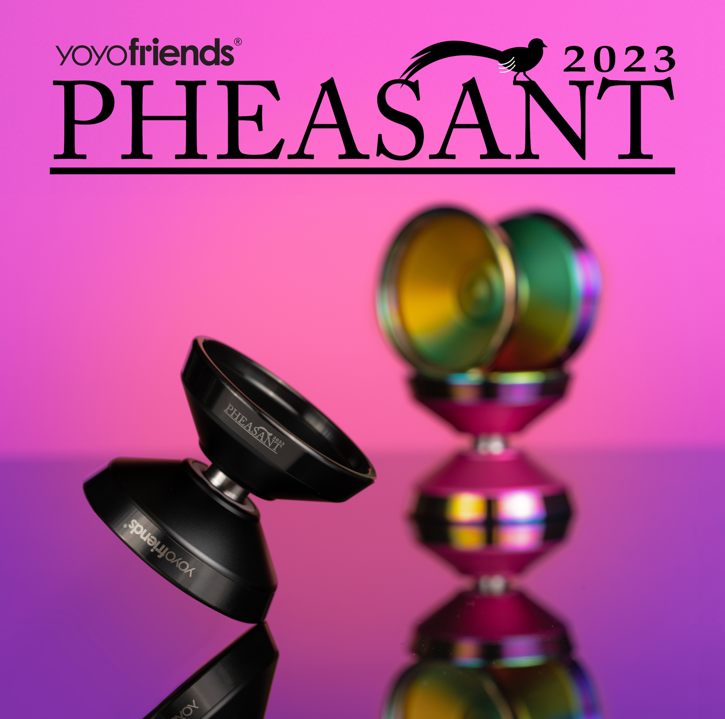 Pheasant 2023 by yoyofriends